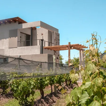 Agrelo Vines Lodge Exterior photo