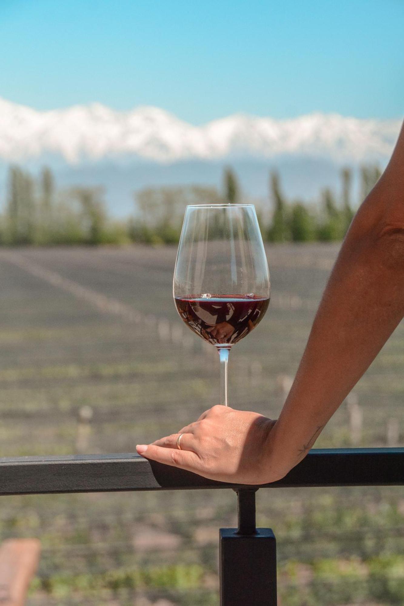 Vines Agrelo